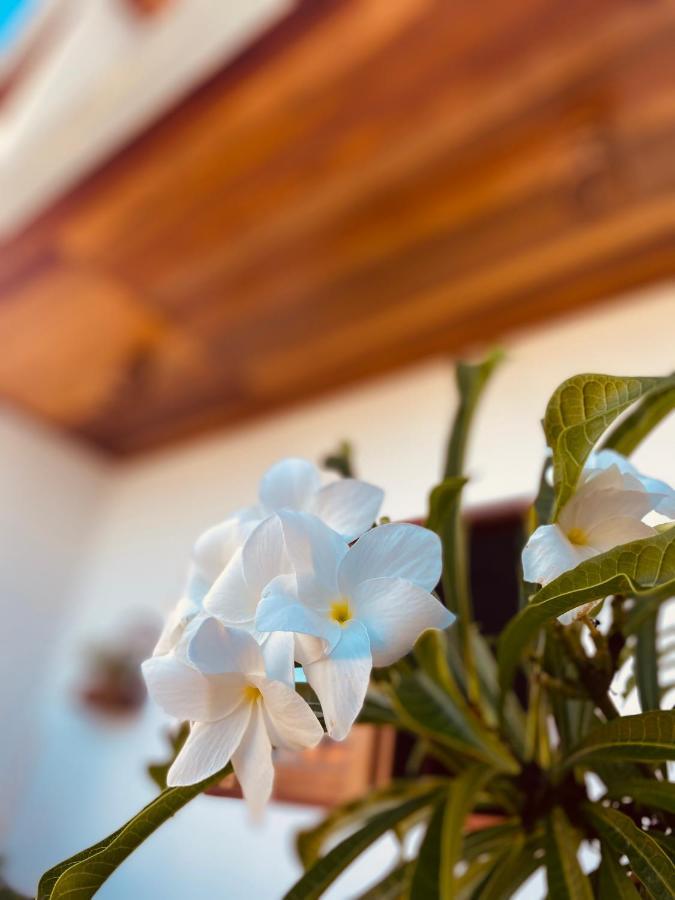 Beach Eco Stays Hotel Boutique Lagoinha Tigre Exterior foto